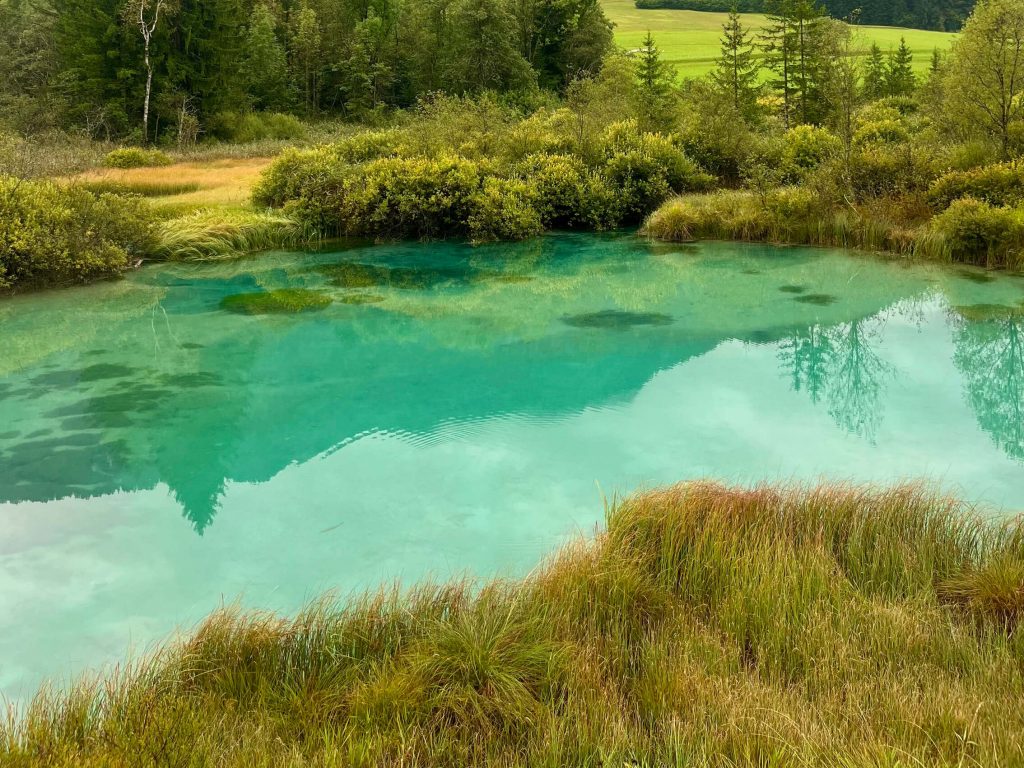 Rezervat Zelenci.